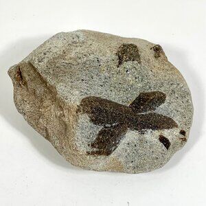 Natural Unfiled Staurolite Fairy Cross Display Specimen 8.1 OZ, 4"